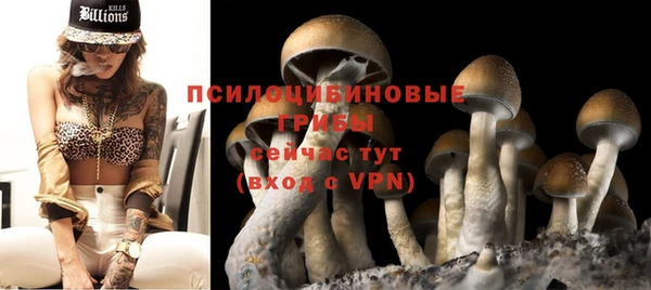 дурь Липки