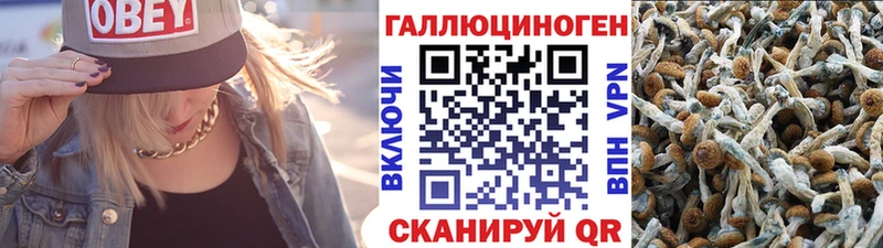это состав  купить   Майский  Галлюциногенные грибы прущие грибы 